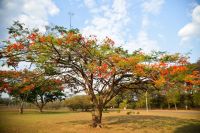 Chegada da primavera traz expectativa de melhora do calor e tempo seco