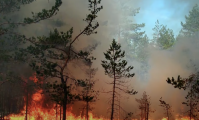 SP: Defesa Civil emite alerta para risco de incêndio em quase todo o estado