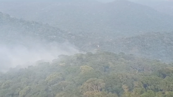 81 unidades de preservação estão fechadas por risco de incêndio; chamas foram detectadas entre os municípios de Guarulhos, Mairiporã e a capital