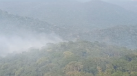 Núcleo do Parque Estadual Cantareira em SP é fechado devido a focos de incêndio