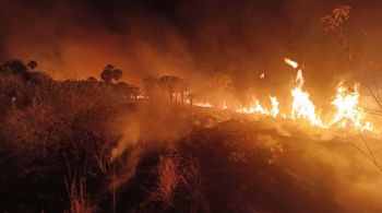 Área do interior de Goiás sofre com "fogo subterrâneo" desde quinta-feira (5)