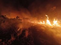 Incêndios na região da Chapada dos Veadeiros já destruíram o equivalente a 10 mil campos de futebol