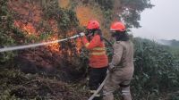 TCU pede ao governo informações sobre combate a incêndios