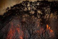 Governo cria novas multas e aumenta outras para incêndios florestais