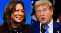 Kamala tem 47% das intenções de voto entre eleitores registrados; Trump, 42%, diz Reuters/Ipsos