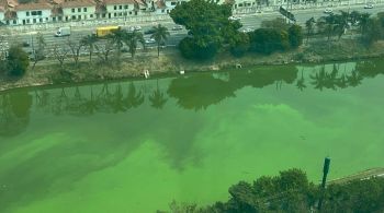 Estiagem extrema diminuiu a circulação de água no rio e favoreceu a proliferação dos organismos; rio está verde 