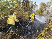 Fogo, fumaça e "chuva preta" atingem países vizinhos do Brasil