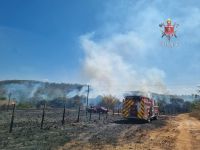 Incêndio florestal atinge área do Parque Ecológico do Riacho Fundo (DF)