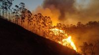 Governo antecipa Bolsa Família para cidades de São Paulo atingidas por incêndios