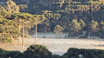 Temperatura chegou a 0,9°C em São Joaquim, e clima frio deve trazer chuvas e ventos fortes nos próximos dias