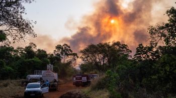 Força-tarefa envolve bombeiros, brigadistas e voluntários na Estação Ecológica do Jataí