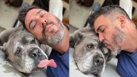 André Marques diz chorar todos os dias por cachorro que morreu: "Tem que viver"