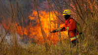 Candidatos de cidades recordistas em queimadas ignoram propostas de combate a incêndios