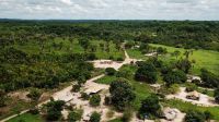 Créditos de carbono ajudam comunidades amazônicas no Pará