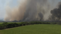 Incêndio causa cortina de fumaça e interdita estrada em SP; veja vídeos