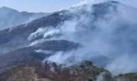 Governo estadual investiga mais de 20 pessoas por incêndios florestais no Rio