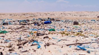 Estudo evidenciou a presença de plástico ao longo de todas as mais de 300 praias analisadas no litoral do país 