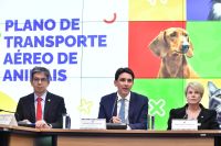 Governo apresenta diretrizes para transporte de animais em aviões após morte do cão Joca