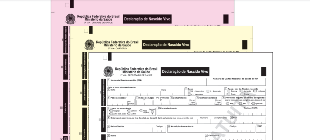 Declaração de Nascidos Vivos