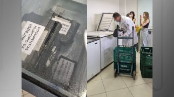 Itens que fazem parte do acervo de um museu e de uma biblioteca foram congelados após as inundações