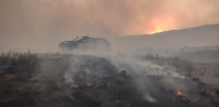 Incêndios na Argentina: moradores se mobilizam para proteger as florestas