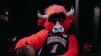 Bulls x Grizzlies: horário e onde assistir ao jogo da NBA