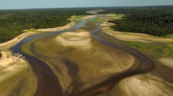 Nota técnica do Cemaden alerta para o aumento da frequência e intensidade das secas e episódios de estiagem desde 1990. Os eventos se distribuem desde a Região Sul até a Amazônia