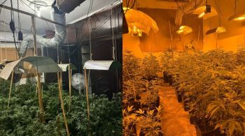 47 quilos de maconha foram apreendidos e duas pessoas foram presas 