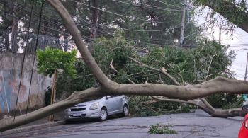 De acordo com o órgão estadual, estação meteorológica da zona sul da capital paulista registrou vento de 107,6 km/h durante a tempestade da última sexta-feira (11)