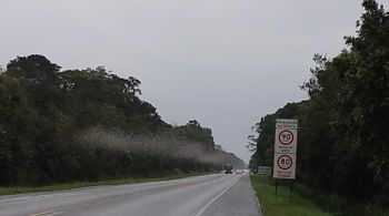 Fenômeno ocorreu na rodovia PR-407, entre os quilômetros 13 e 16, na região de Pontal do Paraná, litoral do estado