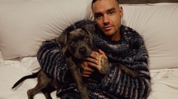 O fiel cão do ex-integrante da One Direction encontrará um novo lar sob os cuidados da namorada do artista, Kate Cassidy