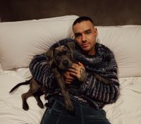 Saiba o que aconteceu com Stanley, cachorro de Liam Payne, após morte do cantor