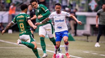 Alviverde alcançou os 61 pontos e encostou no Botafogo, líder do Campeonato Brasileiro; Partida terminou em 2 a 2 no Allianz Parque