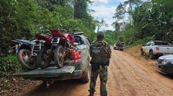 Operação foi realizada pela PF em conjunto com Ibama e Polícia Militar 