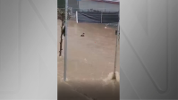 Carapicuíba tem mais de 140 milímetros de chuva; homem foi arrastado pela enxurrada