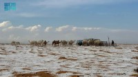 Deserto na Arábia Saudita registra neve pela primeira vez; veja fotos