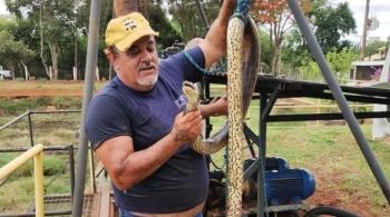 Cobra de quatro metros foi encontrada morta em uma estação de tratamento no interior de São Paulo