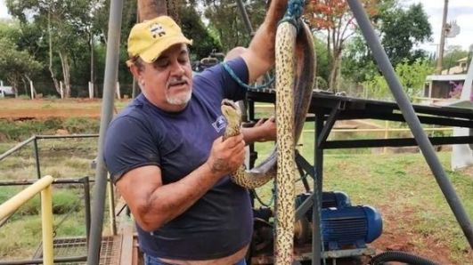 Sucuri foi encontrada morta na estação de tratamento de água da cidade