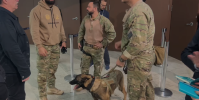 Em evento com presidente do STF, polícia usa cão farejador de bombas em SP