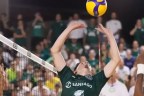 Goiás x São José dos Campos: horário e onde assistir ao jogo da Superliga