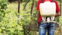 Estudo encontra 22 pesticidas ligados ao câncer de próstata