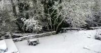 Tempestade Bert leva neve forte, corta energia e paralisa voos no Reino Unido