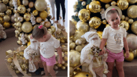 Virginia mostra Maria Flor posando em decoração de Natal: "Fotos da senhorinha"