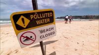 Sydney fecha nove praias após aparecimento de detritos misteriosos