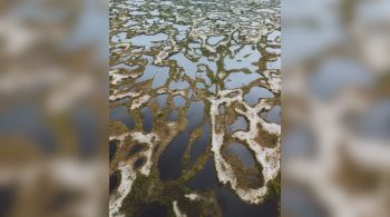 Situação foi provocada pelas fortes chuvas que atingiram o estado de Santa Catarina nos últimos dias