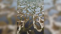 Chuva forma piscina natural entre dunas de praia em Florianópolis; veja