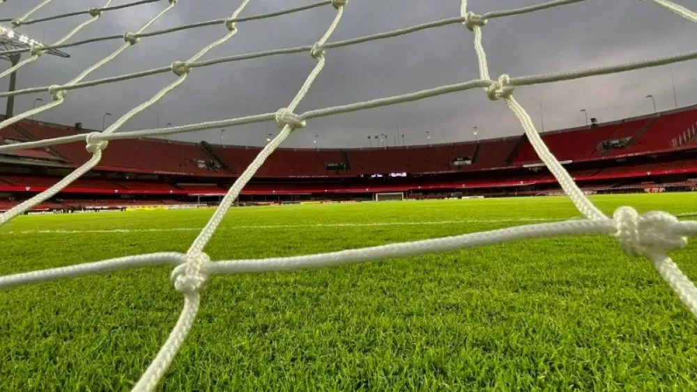 Gramado do estádio do MorumBIS