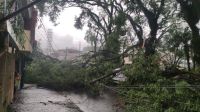 SP tem alerta para temporais com risco de granizo e alagamentos nesta quarta