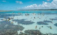 "Caribe Brasileiro": Justiça suspende turismo na Lagoa Azul, em Maragogi