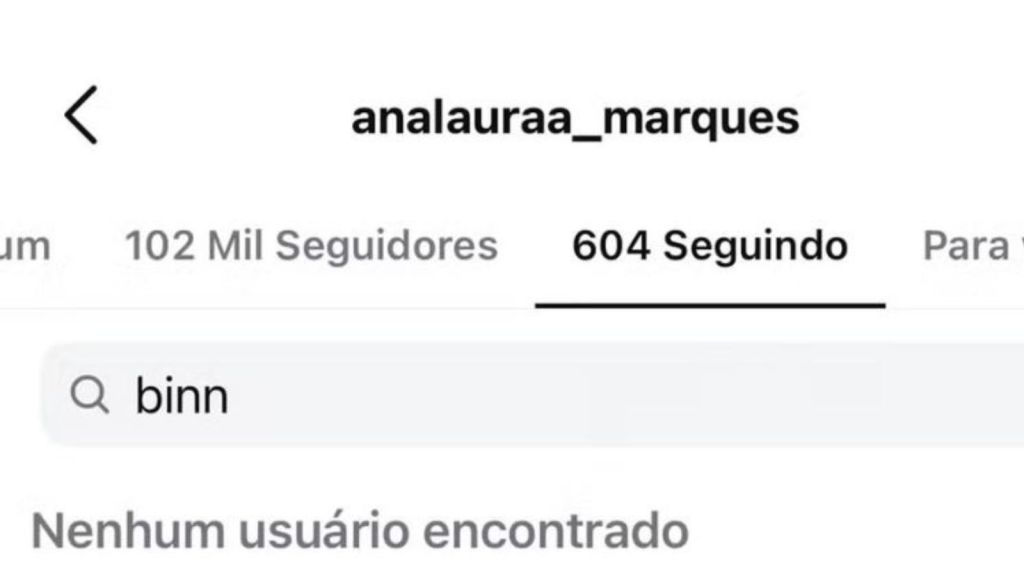 Instagram Ana Laura Marques